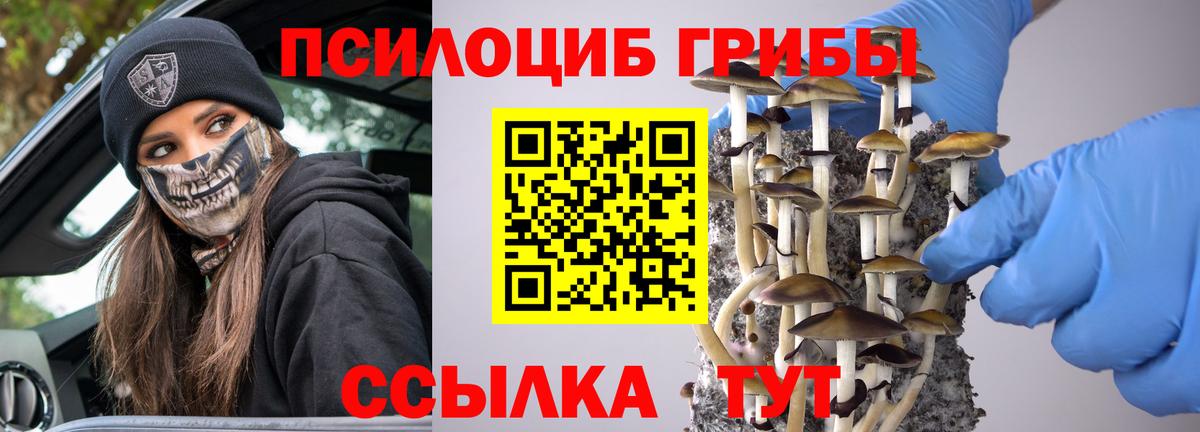 Галлюциногенные грибы GOLDEN TEACHER  Вход с VPN  Владикавказ 